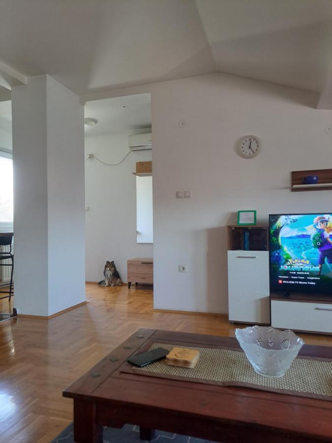 Apartman Zvezdica -Smederevo, Netflix Eksteriør billede